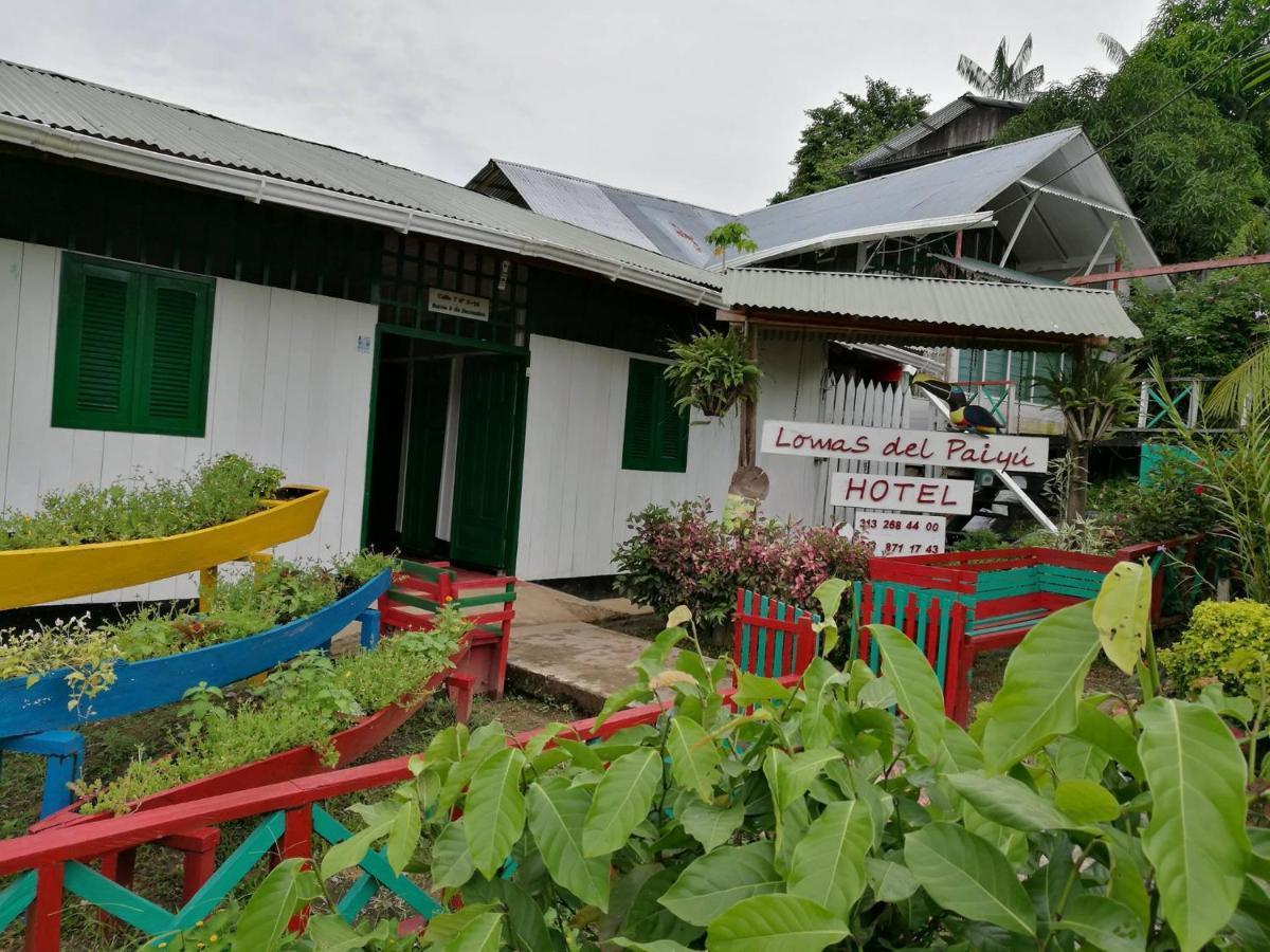 Hotel Lomas Del Paiyue Puerto Nariño Kültér fotó